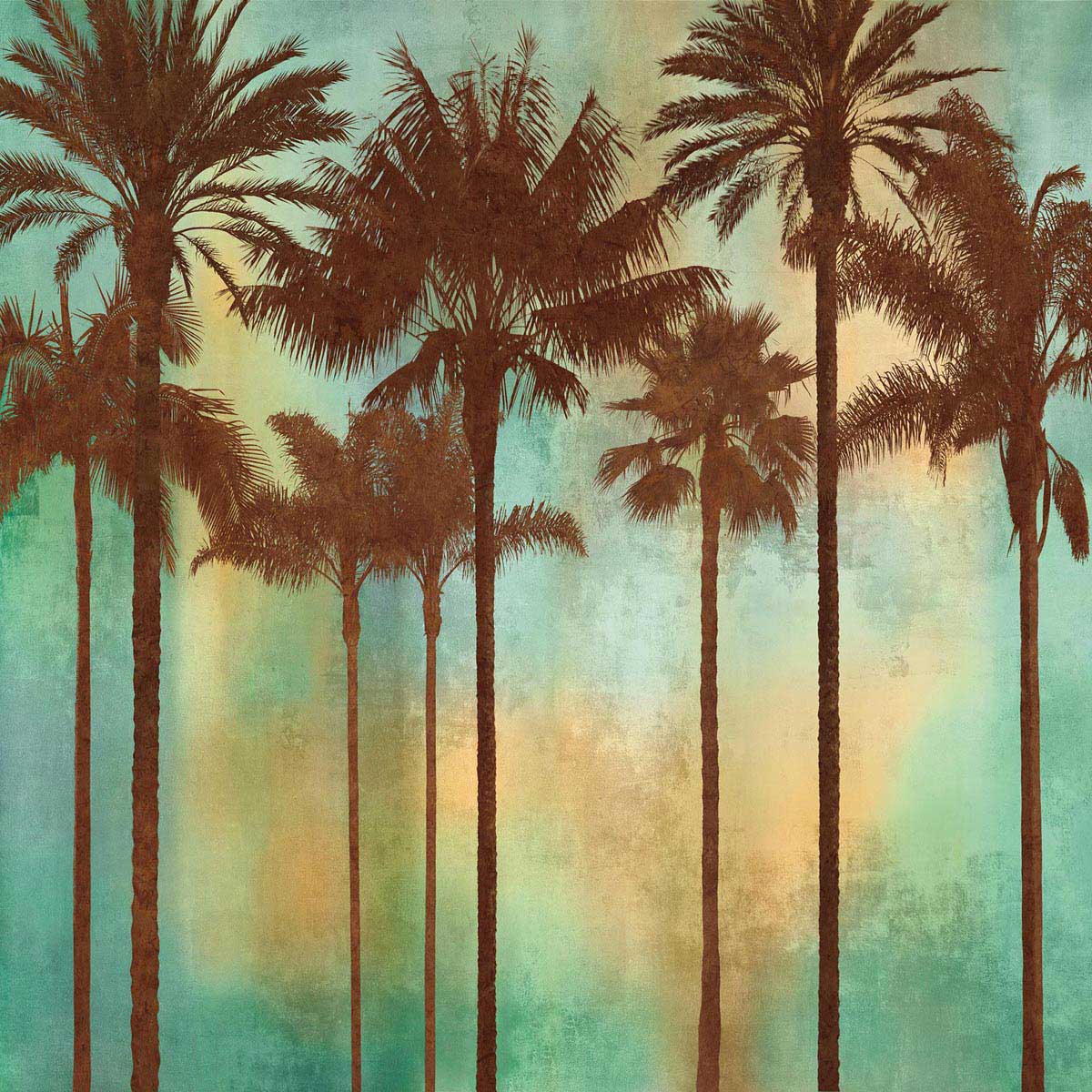 Aqua Palms. Palm +2 Music.