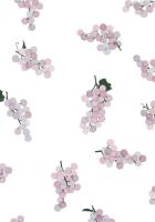 Grape Print #109212 Grape Print #109212