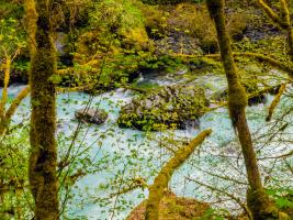 River 1 #109371 River 1 #109371