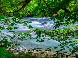 River 2 #109372 River 2 #109372