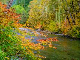 River 4 #109374 River 4 #109374