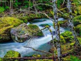 River 7 #109377 River 7 #109377