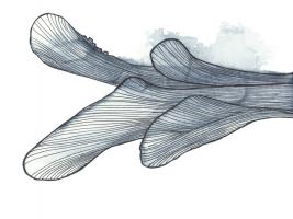 Contours 2 #110140 Contours 2 #110140