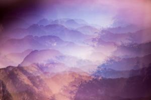 Purple Haze #110452 Purple Haze #110452