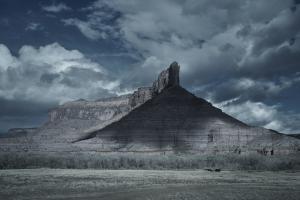 Landscape Palisade Bluff #110500