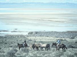 Fort Ranch Gathering 2 #110507 Fort Ranch Gathering 2 #110507