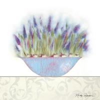 Grape Hyacinth #11744 Grape Hyacinth #11744