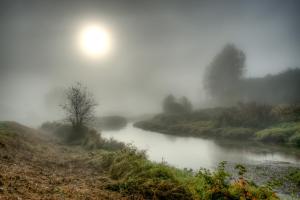 Foggy River #11806