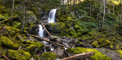 Stones And Waterfall #11810