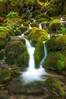 Waterfall I #11825