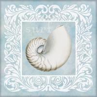 Sandy Shells Blue on Blue Nautilus #12888