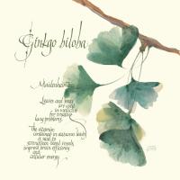 Ginkgo Biloba #1447 Ginkgo Biloba #1447