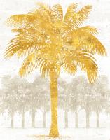 Palm Coast II Crop #20882