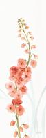 Rainbow Seeds Flowers VII Coral #20888 Rainbow Seeds Flowers VII Coral #20888