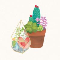 Succulent Garden I #28385 Succulent Garden I #28385