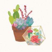 Succulent Garden II #21556