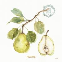 My Greenhouse Fruit I #22222 My Greenhouse Fruit I #22222
