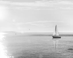 Evening Sail Black and White Crop #28954 Evening Sail Black and White Crop #28954