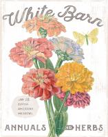 White Barn Flowers V #31763 White Barn Flowers V #31763