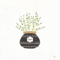 Fine Herbs VI #34998 Fine Herbs VI #34998