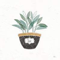 Fine Herbs VII #34999 Fine Herbs VII #34999