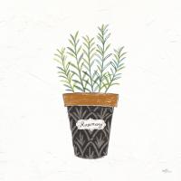 Fine Herbs IX #35001 Fine Herbs IX #35001