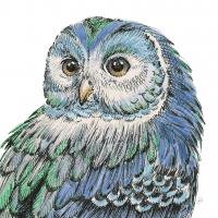 Beautiful Owls I Peacock Crop #21556 Beautiful Owls I Peacock Crop #21556