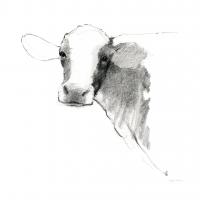 Cow II Dark Square #36141 Cow II Dark Square #36141