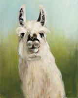 Whos Your Llama I #36176