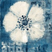 Daisy for Barbara Blue Crop #36446 Daisy for Barbara Blue Crop #36446