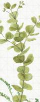 Mixed Greens LX #36537-8x20 Mixed Greens LX #36537-8x20