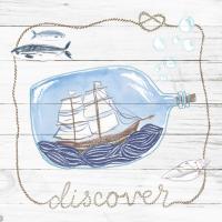 Ship in a Bottle Discover Shiplap #38811