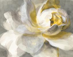 Abstract Rose Crop #39370-28x22 Abstract Rose Crop #39370-28x22