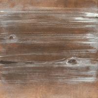 Wood Panel V #41769