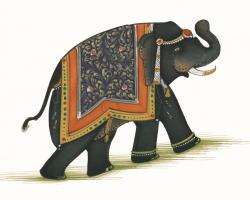 India Elephant I Light Crop #41825
