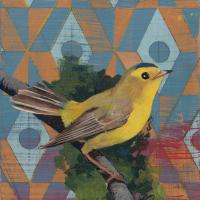Wilsons Warbler #28721 Wilsons Warbler #28721