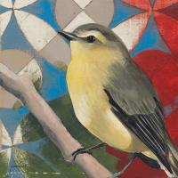Philadelphia Vireo #43540 Philadelphia Vireo #43540