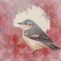Cerulean Warbler #43542 Cerulean Warbler #43542