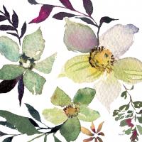 Hellebore Ya Doing III #44118-12x12