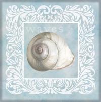 Sandy Shells Blue on Blue Snail #44289 Sandy Shells Blue on Blue Snail #44289