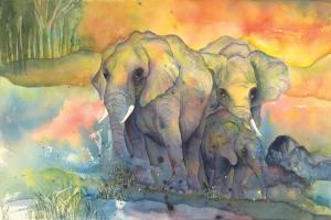 Elephants #44510 Elephants #44510