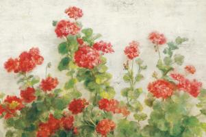 Red Geraniums on White v2 #44813 Red Geraniums on White v2 #44813