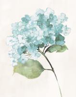 Antique Floral on Cream I Blue #45391