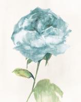 Antique Floral on Cream II Blue #45392 Antique Floral on Cream II Blue #45392