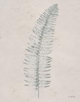 Soft Summer Sketches I #45691 Soft Summer Sketches I #45691