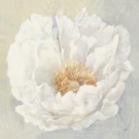 Serene Peony #45729