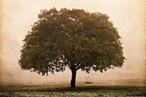 The Hopeful Oak #45741 The Hopeful Oak #45741