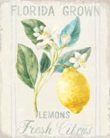 Floursack Lemon I #45782