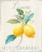 Floursack Lemon III #45784