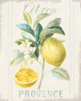 Floursack Lemon IV #45785